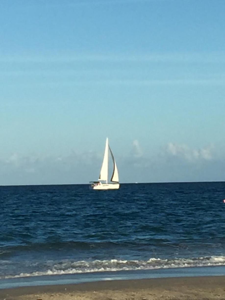 Palm Beach Mermaid West Palm Beach Bagian luar foto